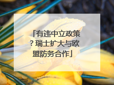 有违中立政策？瑞士扩大与欧盟防务合作