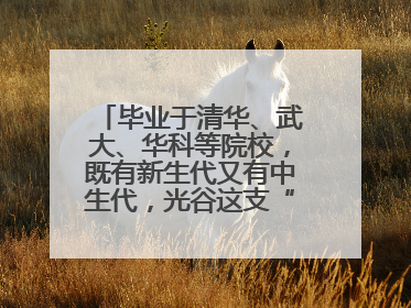 毕业于清华、武大、华科等院校，既有新生代又有中生代，光谷这支“理工男团”为何“出道”？