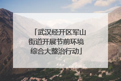 武汉经开区军山街道开展节前环境综合大整治行动