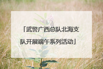 武警广西总队北海支队开展端午系列活动