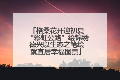 格桑花开迎初夏 “彩虹公路”绘锦绣 德兴以生态之笔绘就宜居幸福图景