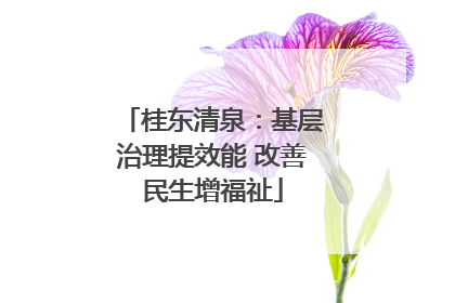 桂东清泉：基层治理提效能 改善民生增福祉