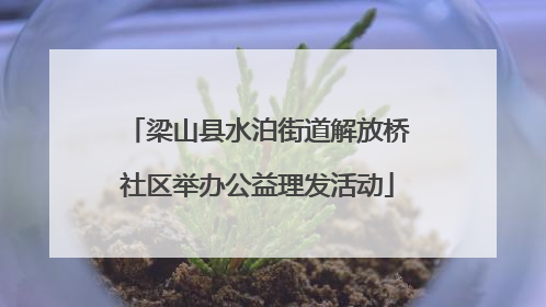 梁山县水泊街道解放桥社区举办公益理发活动
