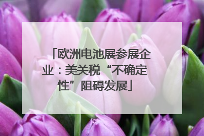 欧洲电池展参展企业：美关税“不确定性”阻碍发展