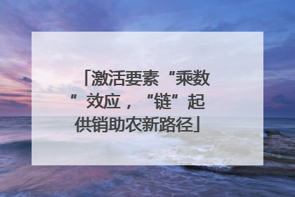 激活要素“乘数”效应，“链”起供销助农新路径