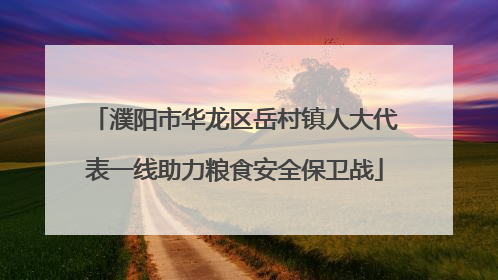 濮阳市华龙区岳村镇人大代表一线助力粮食安全保卫战