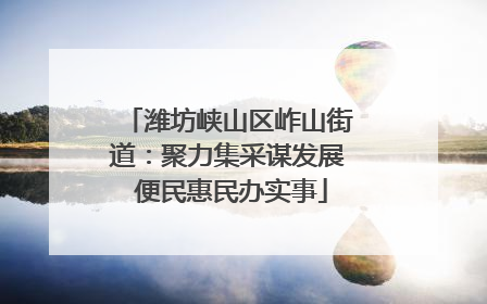 潍坊峡山区岞山街道：聚力集采谋发展 便民惠民办实事