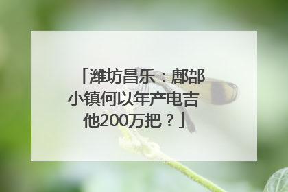 潍坊昌乐：鄌郚小镇何以年产电吉他200万把？