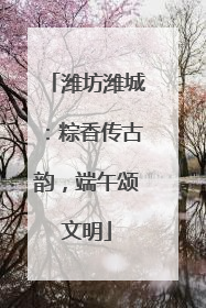 潍坊潍城：粽香传古韵，端午颂文明