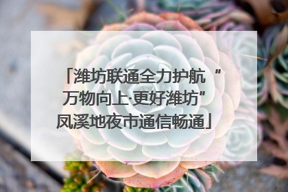 潍坊联通全力护航“万物向上·更好潍坊”凤溪地夜市通信畅通