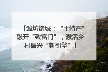 潍坊诸城：“土特产”敲开“致富门”，激活乡村振兴“新引擎”