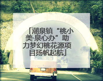潮泉镇“桃小美·泉心办”助力梦幻桃花源项目扬帆起航