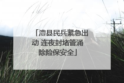 澧县民兵紧急出动 连夜封堵管涌除险保安全