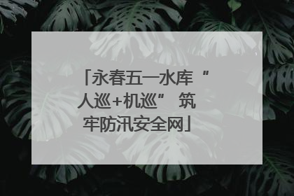 永春五一水库“人巡+机巡” 筑牢防汛安全网
