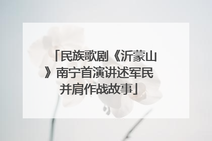 民族歌剧《沂蒙山》南宁首演讲述军民并肩作战故事