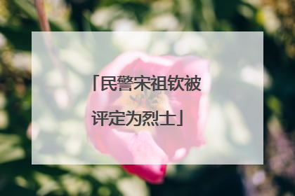 民警宋祖钦被评定为烈士