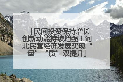 民间投资保持增长 创新动能持续增强！河北民营经济发展实现“量”“质”双提升