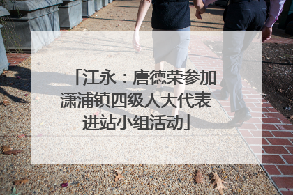 江永：唐德荣参加潇浦镇四级人大代表进站小组活动