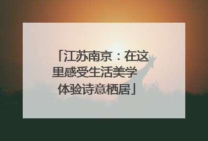 江苏南京：在这里感受生活美学 体验诗意栖居