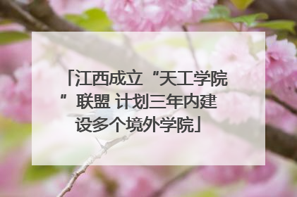江西成立“天工学院”联盟 计划三年内建设多个境外学院