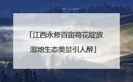 江西永修百亩荷花绽放 湿地生态美景引人醉