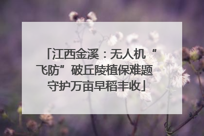 江西金溪：无人机“飞防”破丘陵植保难题 守护万亩早稻丰收