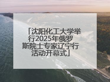 沈阳化工大学举行2025年俄罗斯院士专家辽宁行活动开幕式