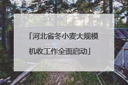 河北省冬小麦大规模机收工作全面启动