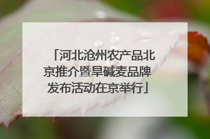 河北沧州农产品北京推介暨旱碱麦品牌发布活动在京举行
