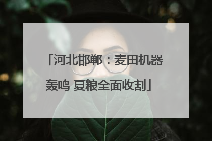 河北邯郸：麦田机器轰鸣 夏粮全面收割