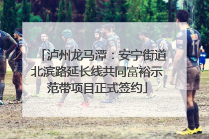 泸州龙马潭：安宁街道北滨路延长线共同富裕示范带项目正式签约