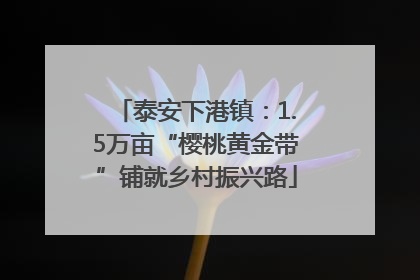 泰安下港镇：1.5万亩“樱桃黄金带”铺就乡村振兴路