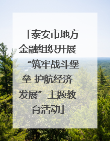 泰安市地方金融组织开展“筑牢战斗堡垒 护航经济发展”主题教育活动