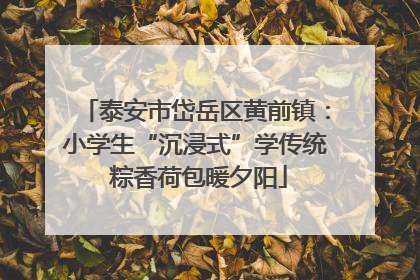 泰安市岱岳区黄前镇：小学生“沉浸式”学传统 粽香荷包暖夕阳