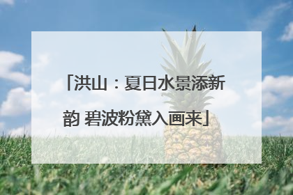洪山：夏日水景添新韵 碧波粉黛入画来