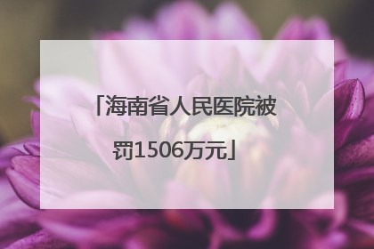 海南省人民医院被罚1506万元