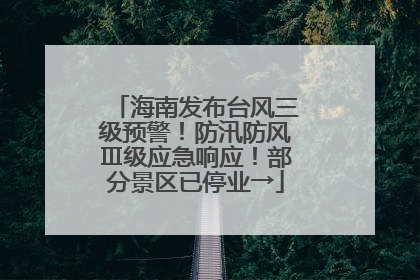 海南发布台风三级预警！防汛防风Ⅲ级应急响应！部分景区已停业→