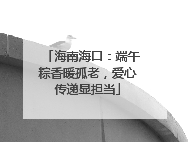 海南海口：端午粽香暖孤老，爱心传递显担当