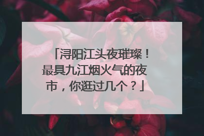 浔阳江头夜璀璨！最具九江烟火气的夜市，你逛过几个？