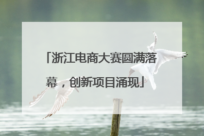 浙江电商大赛圆满落幕，创新项目涌现