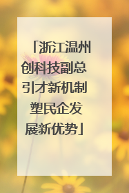 浙江温州创科技副总引才新机制 塑民企发展新优势
