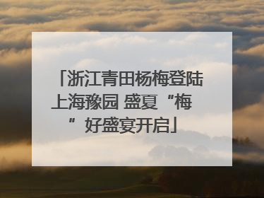 浙江青田杨梅登陆上海豫园 盛夏“梅”好盛宴开启
