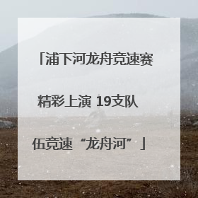 浦下河龙舟竞速赛精彩上演 19支队伍竞速“龙舟河”