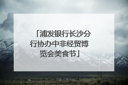 浦发银行长沙分行协办中非经贸博览会美食节