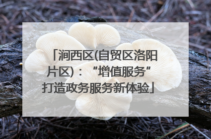 涧西区(自贸区洛阳片区)：“增值服务”打造政务服务新体验