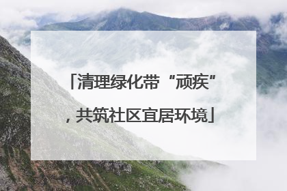 清理绿化带“顽疾”，共筑社区宜居环境