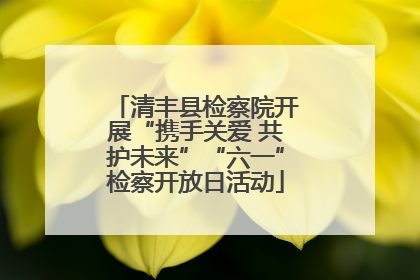 清丰县检察院开展“携手关爱 共护未来”“六一”检察开放日活动