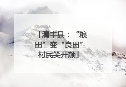 清丰县：“粮田”变“良田”村民笑开颜
