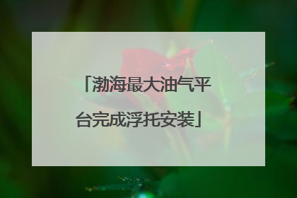 渤海最大油气平台完成浮托安装