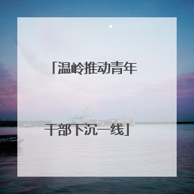 温岭推动青年干部下沉一线